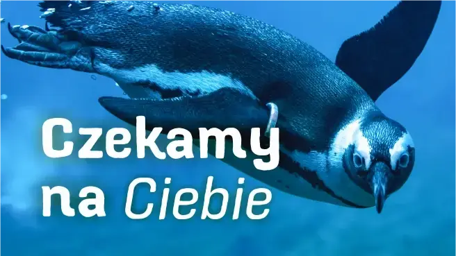 Prohlídka Zoo Wrocław — Vratislav