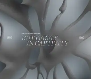 Butterfly in Captivity