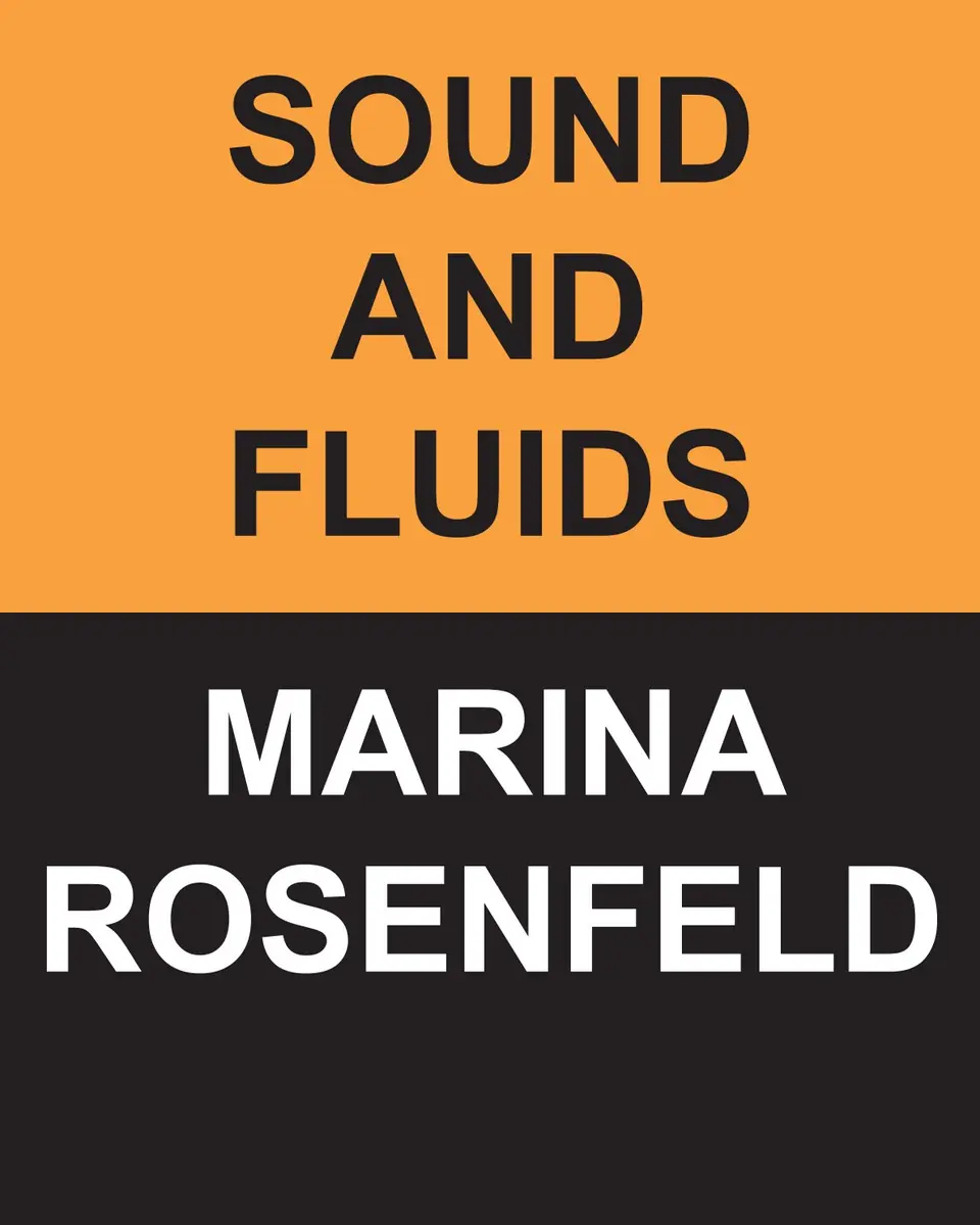 Sound and Fluids с Мариной Розенфельд, Максом Айлбахером и Маркусом Палом — Julia Stoschek Foundation, Берлин