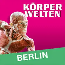 KÖRPERWELTEN | Berlín | Jednodenní vstupenka — KÖRPERWELTEN Berlin, Berlín