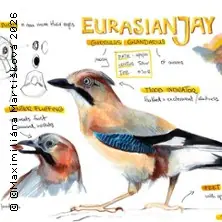 Nature Journaling: The World of Birds — Kunstraum Heartspace, Berlin