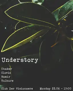 Understory: Chaker, Clovis, Namir, Tulbure