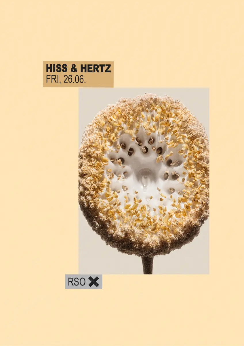 Hiss & Hertz w/ Colin Benders live, Akua, Estella Boersma & Stephanie Sykes — RSO.BERLIN, Berlín