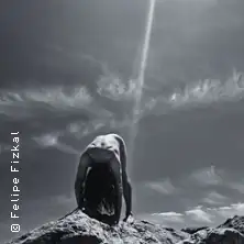 Monumento - Felipe Fizkal