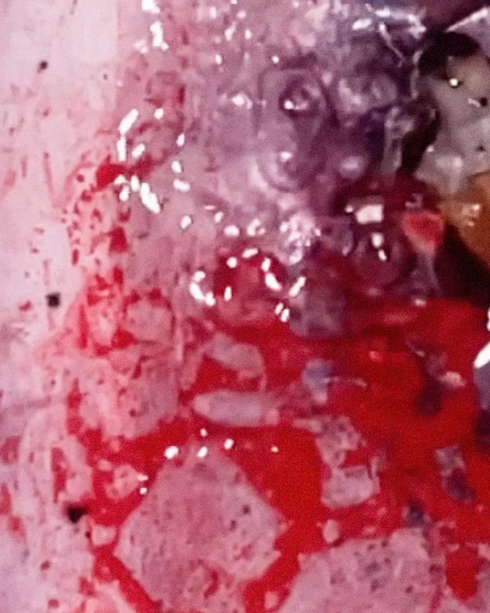 BLITZ with Nizar Sarakbi, Verraco & Niebla pres. Purification — BLITZ, Mnichov
