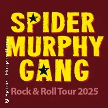 Spider Murphy Gang - Rock'n'Roll Tour — Brückenforum Bonn / Beuel, Bonn