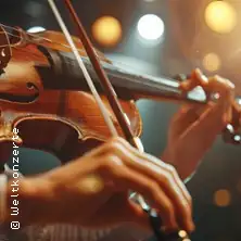 Vivaldi - Čtyři roční doby | Komorní orchestr Nové filharmonie Hamburg