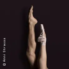 Baletní gala - Stadttheater Bremerhaven — Stadttheater Bremerhaven, Bremerhaven