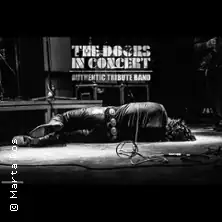 The Doors in Concert - Authentic Tribute Band