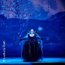 Чарівна флейта - Семпероопер Дрезден — Semperoper Dresden, Дрезден