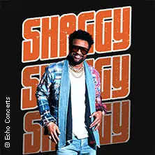 Shaggy - Exkluzivní koncert v Německu — Mitsubishi Electric HALLE, Düsseldorf