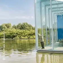 Sprawa McNeal - Düsseldorf Schauspielhaus