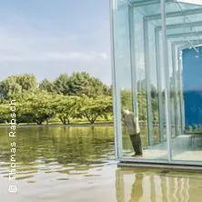 Případ McNeal - Düsseldorf Schauspielhaus — Schauspielhaus – Kleines Haus, Düsseldorf