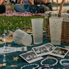 The Picnic Tour | Rheinwiesen in Düsseldorf-Oberkassel