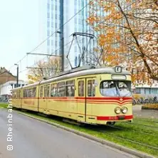 Halloweenowa przejażdżka dla dzieci