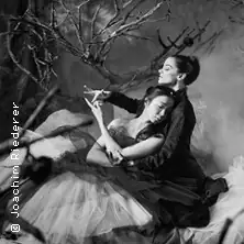 Ballett am Rhein: Спящая красавица - Deutsche Oper am Rhein | Дюссельдорф
