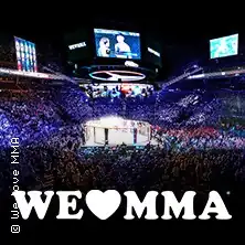 We Love MMA - Смешанные боевые искусства