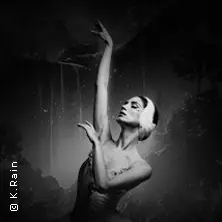 Grand Classic Ballet - Swan Lake - Beyond the Stage with Live String Quartet — Kaisersaal Erfurt, Erfurt
