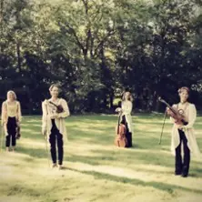 Ladystrings — Kulturweberei - Stadthalle Finsterwalde, Finsterwalde