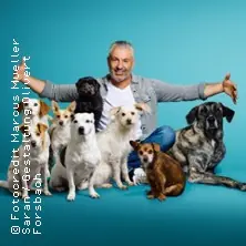 Andreas Ohligschläger - Hundherum zufrieden? — KAUE Gelsenkirchen, Gelsenkirchen