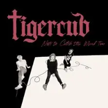 Tigercub - Nets To Catch The Wind Tour