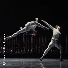 Goldberg - Niedersächsische Staatstheater Hannover