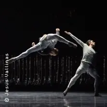 Goldberg - Niedersächsische Staatstheater Hannover — Staatsoper Hannover, Hannover