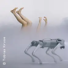 Hamlet: R2D2 or not 2B2 - Niedersächsische Staatstheater Hannover — Schauspielhaus Hannover, Hannover