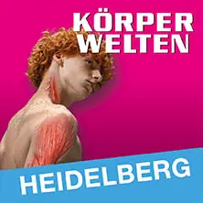 KÖRPERWELTEN | Heidelberg | Tagesticket — KÖRPERWELTEN Heidelberg, Heidelberg