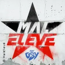 Mal Élevé - Résilience Tour 2026 — halle02, Heidelberg