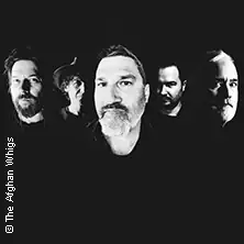 The Afghan Whigs - soft control tour 2026