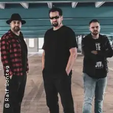 System of a Stu plays System of a Down