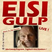 Eisi Gulp - Deník komika 1