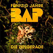 BAP - Padesát let - Finální přímka - Tour 2026
