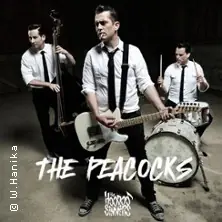 The Peacocks - The Hoodoo Sinners — Golden Nugget Nürnberg, Norimberk