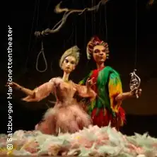 Czarodziejski flet - Salzburger Marionettentheater