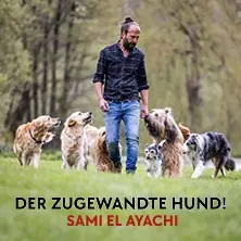 Sami El Ayachi - Der zugewandte Hund! — Stadthaus Ulm, Ulm