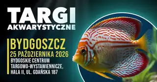 Targi Akwarystyczne Bydgoszcz