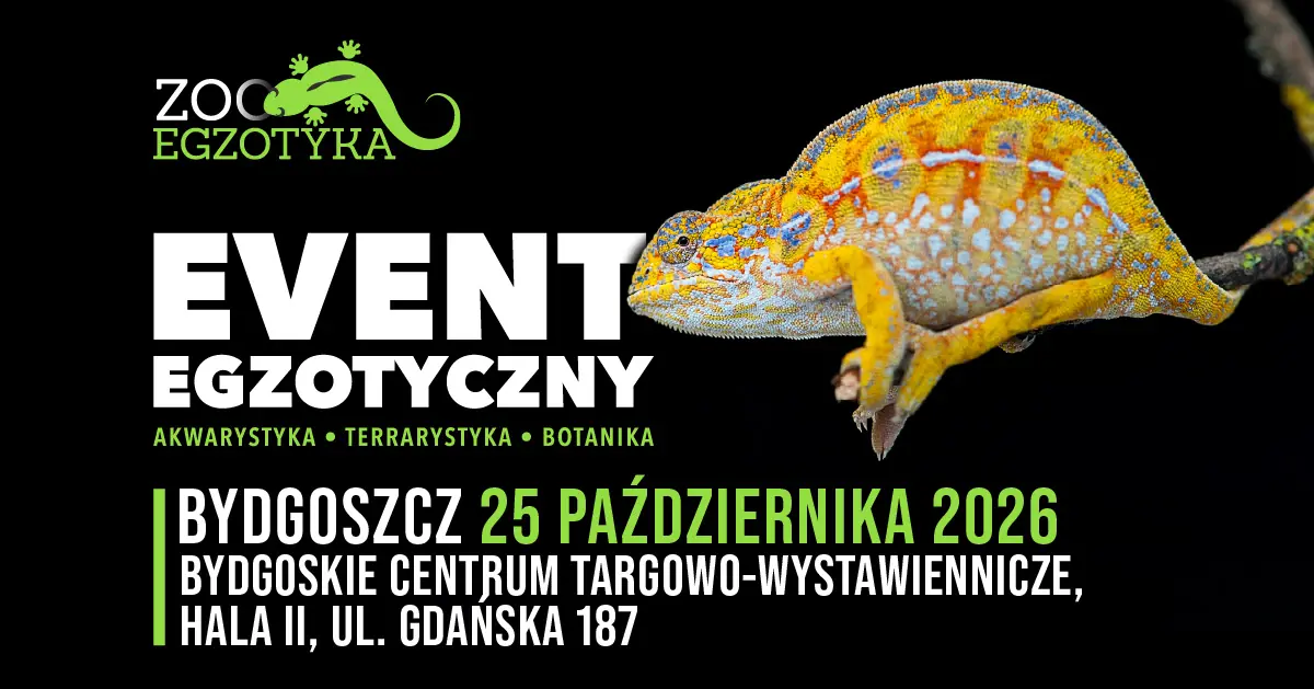 ZooEgzotyka Bydgoszcz — Bydgoskie Centrum Targowo-Wystawiennicze, Bydgoszcz