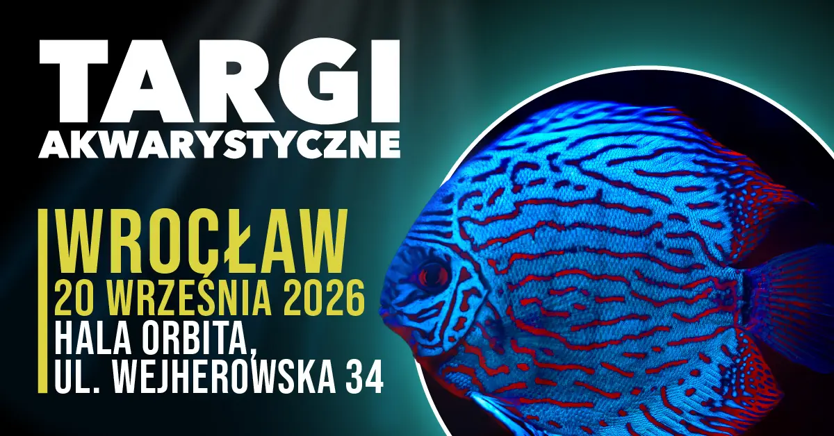 Wrocław Aquariummesse — Hala Orbita we Wrocławiu, Breslau