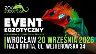 ZooEgzotyka Wrocław