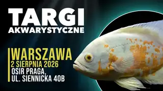 Targi Akwarystyczne Warszawa