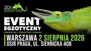 ZooEgzotyka Warszawa