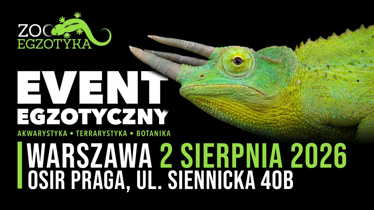 ZooEgzotyka Warszawa — OSiR Praga - Hala Sportowa Siennicka, Varšava
