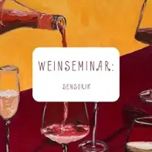 Wine Seminar Sensory | Uli Scheffler Weinhandel