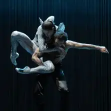 Лебединое озеро. История Ротбарта - Niedersächsische Staatstheater Hannover