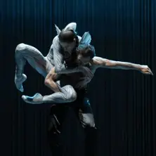 Labutí jezero. Příběh Rotbarta - Niedersächsische Staatstheater Hannover — Staatsoper Hannover, Hannover