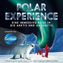 POLAR EXPERIENCE - Іммерсивна виставка | Квиток з часовим вікном