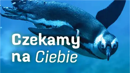 Prohlídka Zoo Wrocław