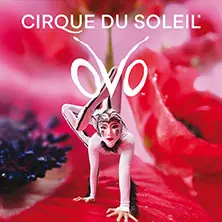 Cirque du Soleil - OVO — Porsche-Arena, Stuttgart